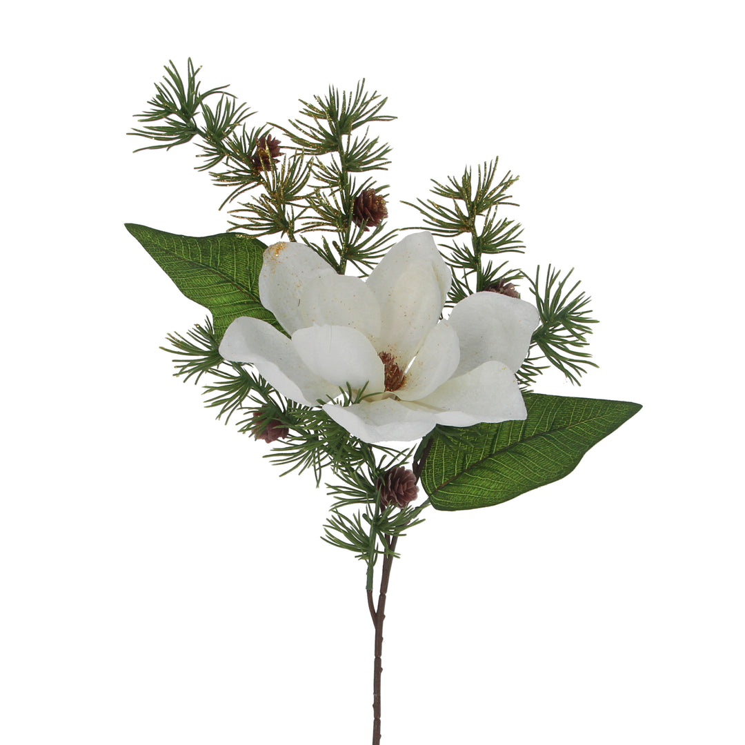 White Magnolia and Fir Stem