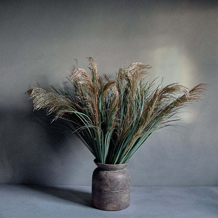 Pampas Grass by Abigail Ahern