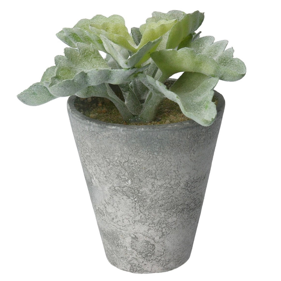 Faux potted plant small on grey concrete pot