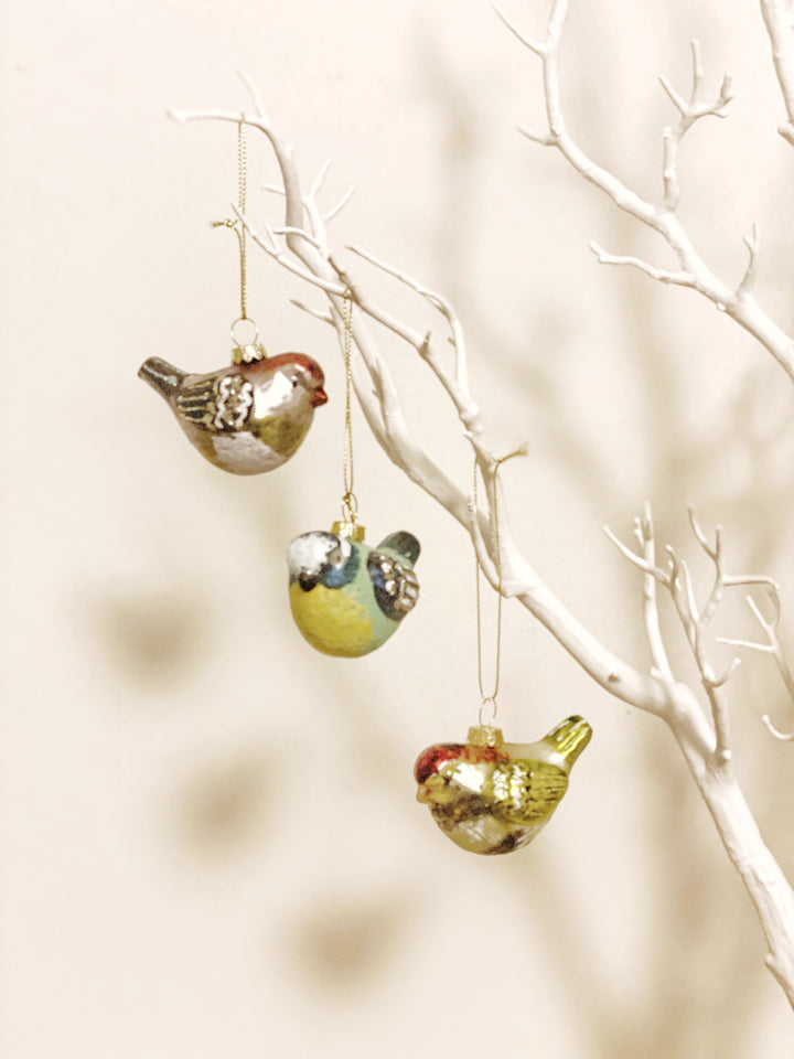 Set of 3 Painted Wild Bird Christmas Tree Decorations