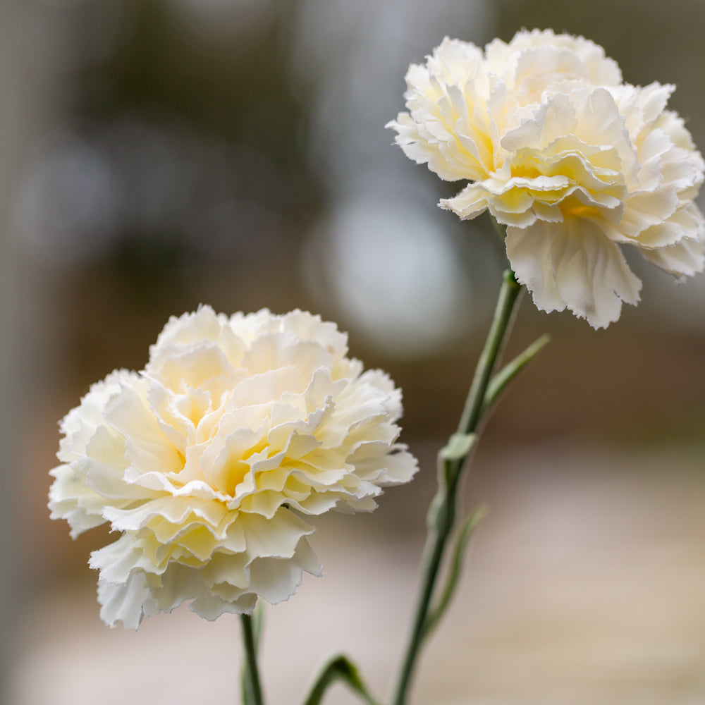 12 Faux White Carnations